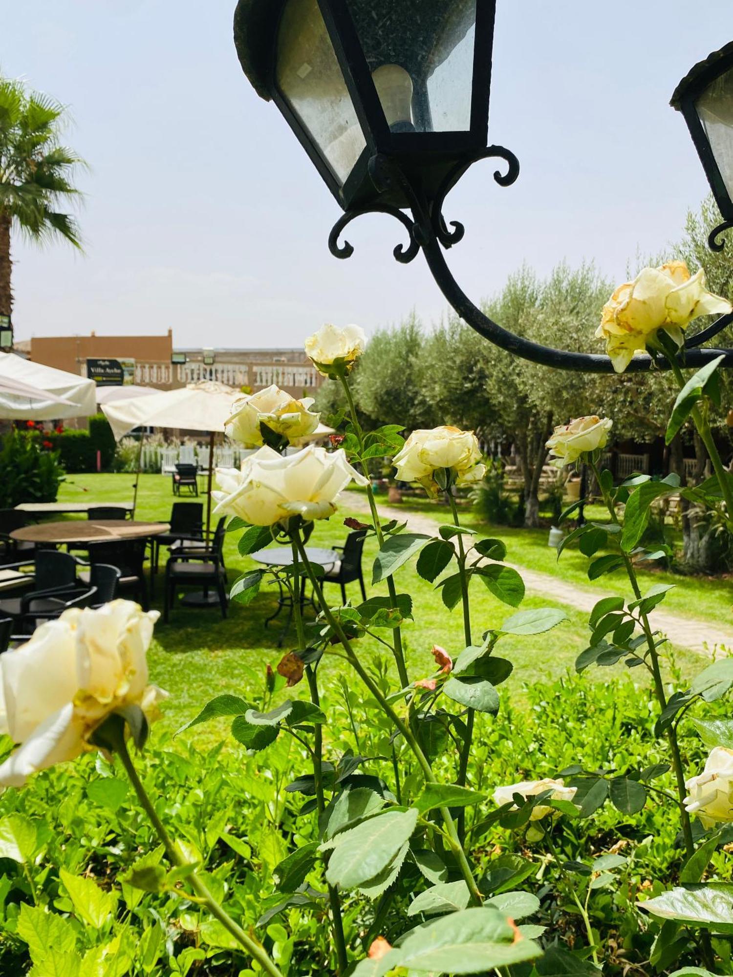 Villa Ayche Tameslouht Εξωτερικό φωτογραφία